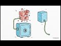 Kubernetes Architecture Explained | Local Development Fundamentals for Beginners