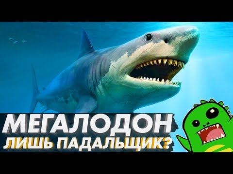 Видео: МЕГАЛОДОН — всего лишь падальщик? [OVERRATED]