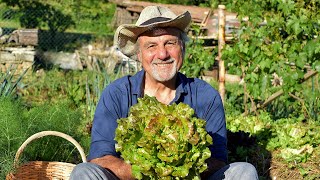 ELEMENTARY GARDEN. THE ROOTS OF CULTIVATION BY GIAN CARLO CAPPELLO