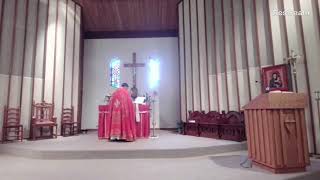 Liturgy St Ignatius of Antioch