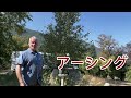 アーシング革命：全国の裸足公園プロジェクト