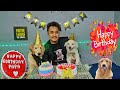 Happy Birthday to you Buddy&#39;s papa | surprise Birthday party| Handsome Buddy