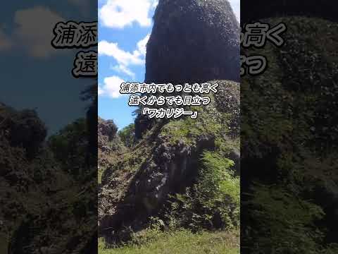 【沖縄】浦添グスクのあまり人が通らない古い道、大岩のある里道を行く#風景#沖縄散歩#観光 #山道