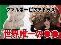 【現地で話題沸騰】万博イタリア館「アトラス像」何が凄い?|ギリシャ×ローマ×宇宙の美術解説