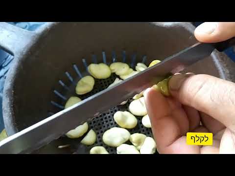 איך עושים פיצוחים מקטניות יבשות! פולים מטוגנים. טעים במיוחד !!How to make nuts from dried legumes