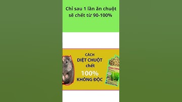 Thuốc diệt chuột Broma 0,005 AB, thuốc trừ chuột trộn sẵn thế hệ mới, hiệu quả cao