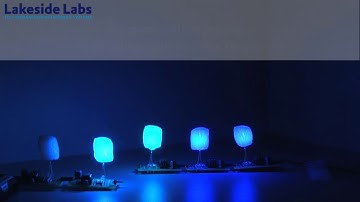 Firefly Algorithm Demonstration