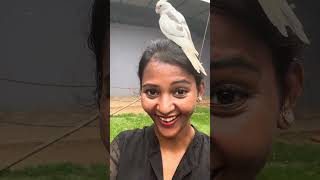 A Satisfying Happy Day Out