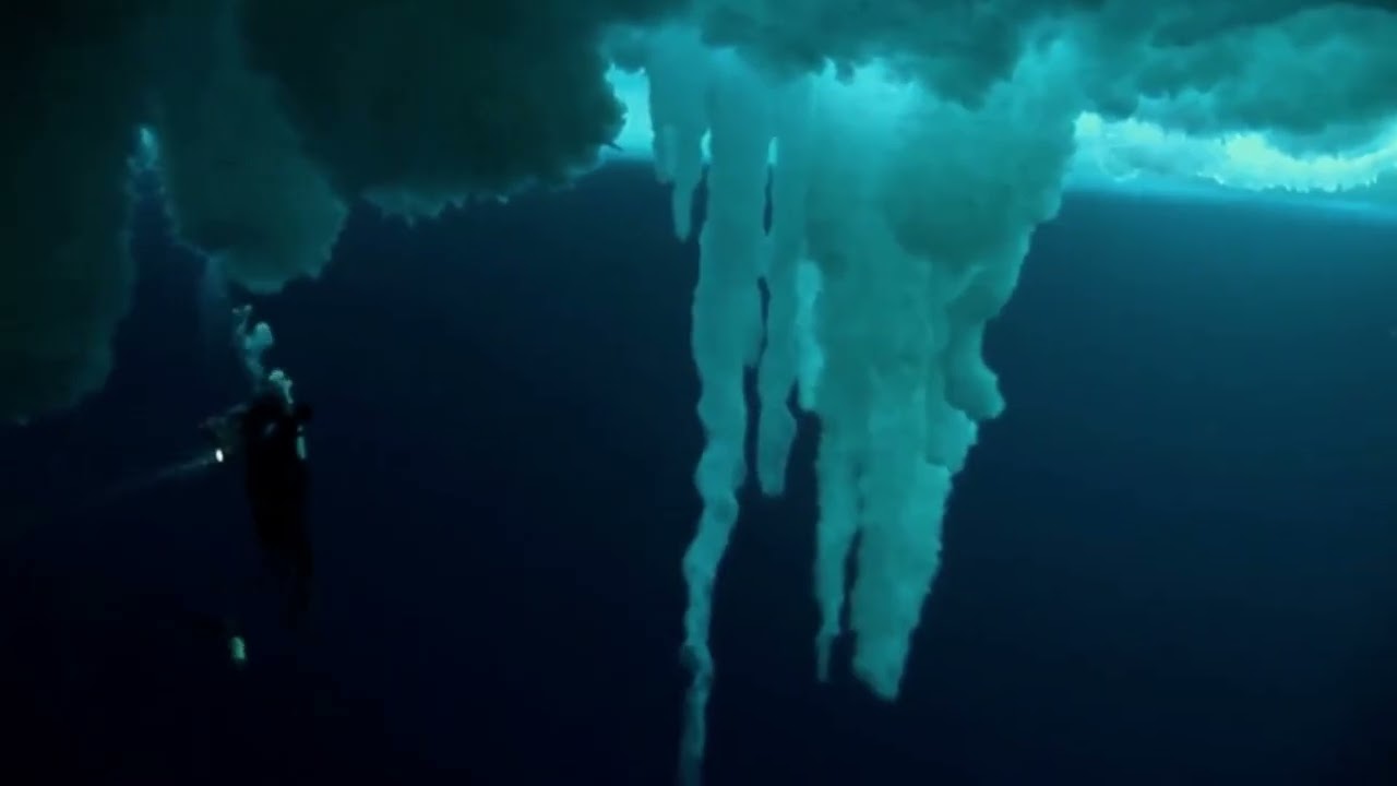 Encounters at the end of the world, Werner Herzog (2007)