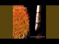 The Apparent Chaos Of Stone (Live At Coventry Cathedral)