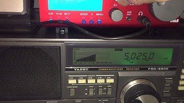 Multiple receiver test: comparing the Elad FDM DUO + Wellbrook ALA1530