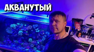 Акванутый | Морская аквариумистика