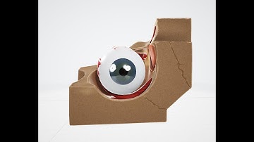 3D Models in Microsoft 3D Viewer: Complete Tutorial 4 | Step-by-Step Guide for Beginners