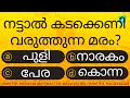      l malayalam quiz l mcq l gk l qmaster malayalam