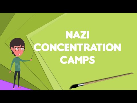 What is Nazi concentration camps?, Explain Nazi concentration camps, Define Nazi concentration camps