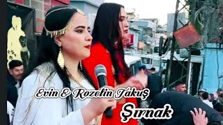 Evin & Rozelin Takuş/ Şırnak 