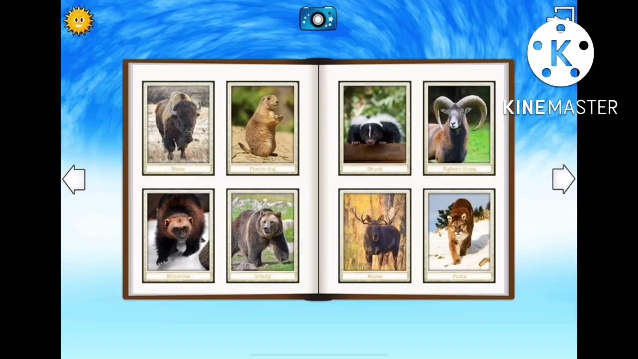 Find them all game animal sounds episode 5 animals of north america