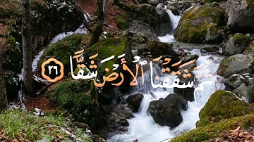فَلْيَنْظُرِ الْإِنْسَانُ إِلَى طَعَامِهِ من سورة عبس- آية (24)جميلة جداً القارئ:طاري محمد Full-HD