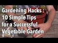 Gardening hacks  10 simple tips for a successful vegetable garden