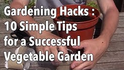 Gardening Hacks - 10 Simple Tips for a Successful Vegetable Garden
