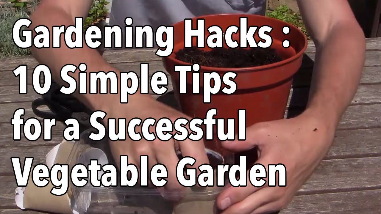 Best Vegetable Gardening Tips And Tricks: 2024 review