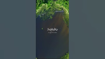 آية الكرسي  [البقرة:255] القارئ رعد الكردي  #رعدالكردي #آية_الكرسي #سورة_البقرة
