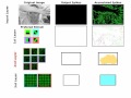 STDP-based spiking deep convolutional neural networks for object recognition