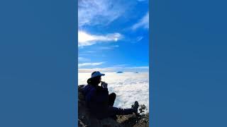 Story pendakian puncak gunung sumbing | serasa  negri di atas awan #shorts
