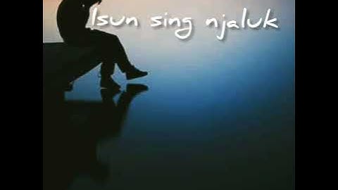 Story WA Galau Keren Bahasa Osing Banyuwangi