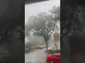 Heavy Rain 🌧️ Saskatoon Canada 🇨🇦 | Rain Sound #rain #rainydays #canada #canadalife #explore