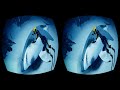 Undersea world VR Part 5