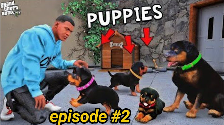 Franklin Found Chop Secret Puppies In GTA 5 episode 2 | Shinchan and Chop GTA