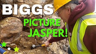 BIGGS PICTURE JASPER! NEW VEIN uncovered in Oregon