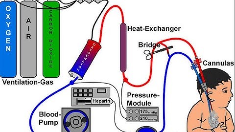 ECLS CPT code - simplify medical coding
