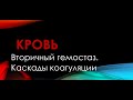 Физиология. Глава 4. Кровь. Вторичный гемостаз. Каскады коагуляции