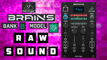 Behringer Brains - B3 - Dust MODEL - RAW SOUND