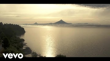 S.Q.I.D. - New Beginning