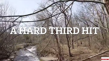 DJI MAVIC MINI Epic Drone Crashes Hit a tree 5 Times Too Many Almost Made it Back Big Mistake