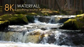 Удивительный лесной водопад 💦 Кристально чистые звуки воды 🌳 Видео 8K