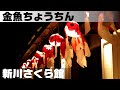 金魚ちょうちん