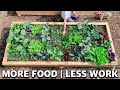 Using square foot gardening easily doubled the harvests