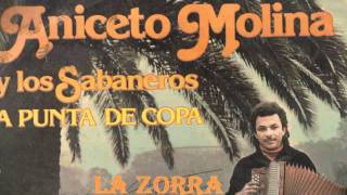 LA ZORRA - ANICETO MOLINA   Estéreo Compatible chords