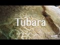 Visita TUBARA en el ATLANTICO | Arqueología y Playa