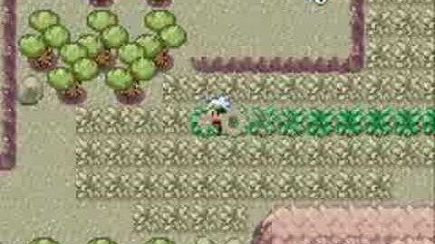 Pokemon Emerald Walkthrough Part 20:The road to Fallarbor Town