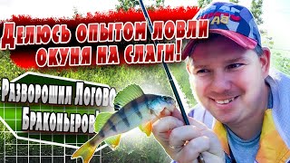 Микроджиг | Ловля окуня на слаги JARA BAITS | Делюсь наработками