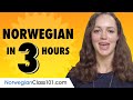 Learn Norwegian in 3 Hours: Basics of Norwegian Speaking for Beginners