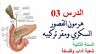 الدرس 03 | هرمون القصور السكري ومقر تركيبه للسنة الثانية ادب وفلسفة