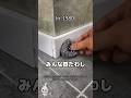 ヤバすぎる年代別ネズミ対策