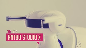 Antbo - An Insect Robot Anyone Can Build