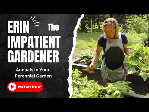 Vídeo: Quem é o jardineiro impaciente?